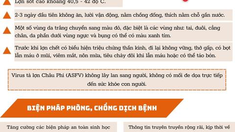 Tài liệu tuyên truyền phòng chống dịch tả lợn Châu phi