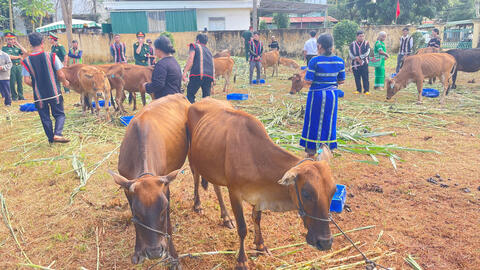 Chuẩn bị phân định vùng đồng bào dân tộc thiểu số và miền núi giai đoạn 2026 - 2030